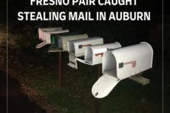 Couple with stolen mail at 4:30 AM