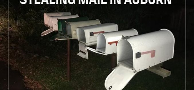 Couple with stolen mail at 4:30 AM