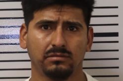 Deputies Bust Wanted Felon with Gun, Ammo