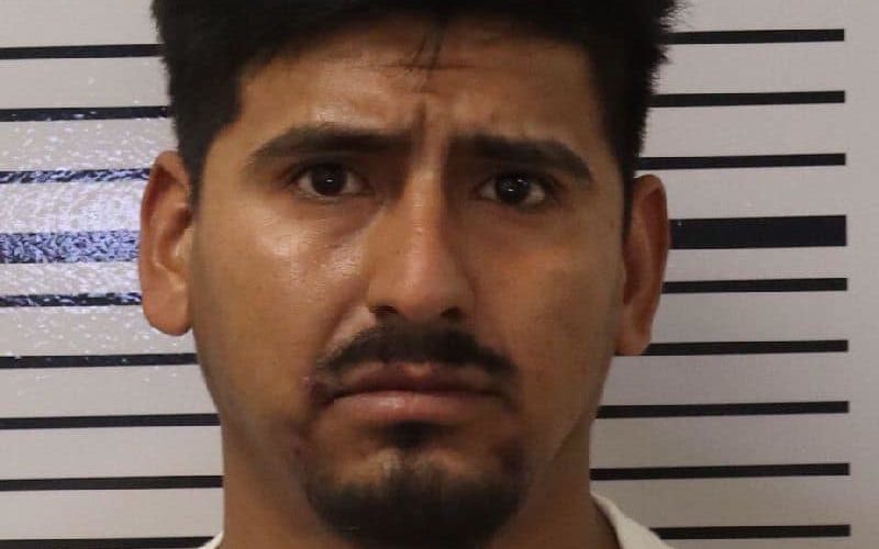 Deputies Bust Wanted Felon with Gun, Ammo