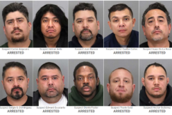 35 Suspects Arrested in Sexual Assault Investigations