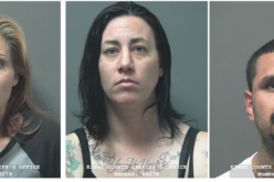 Trio steals from car parked at orchard