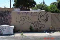 Graffiti Vandal Nabbed