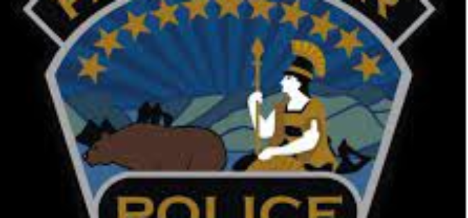 THREE SUSPECTS RESIST ARREST WITHIN 12 HOURS; ONE OFFICER INJURED