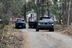 Stolen vehicle, and its thief, recovered