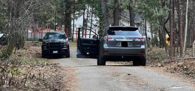 Stolen vehicle, and its thief, recovered