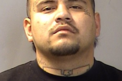 POLICE ARREST WANTED SUBJECT AFTER PURSUIT