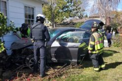 Pair of Thieves Arrested after Crashing Stolen Vehicle