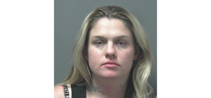 Sheriff’s Office: Pursuit suspect pulled into stranger’s yard, claimed to be looking for friend