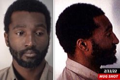 ‘AMERICAN IDOL’ CONTESTANT DAVID OLIVER WILLIS, ARRESTED FOR LSD POSSESSION