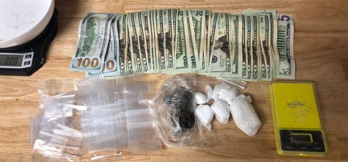 Traffic stop leads to drug arrest