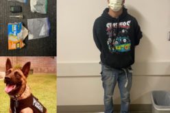 Motorcyclist drug dealer flees until crash, arrest