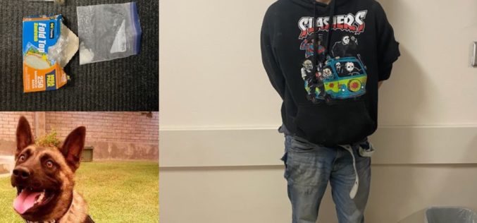 Motorcyclist drug dealer flees until crash, arrest