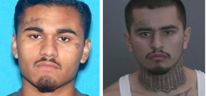 One arrested, one sought in December shooting homicide