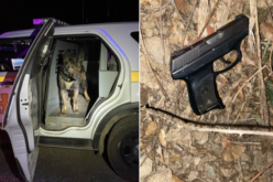 Gunshot during “altercation between multiple subjects”