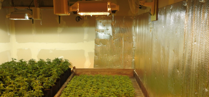 Calaveras County Sheriff’s Office Marijuana Team March 16 thru March 18th, 2022