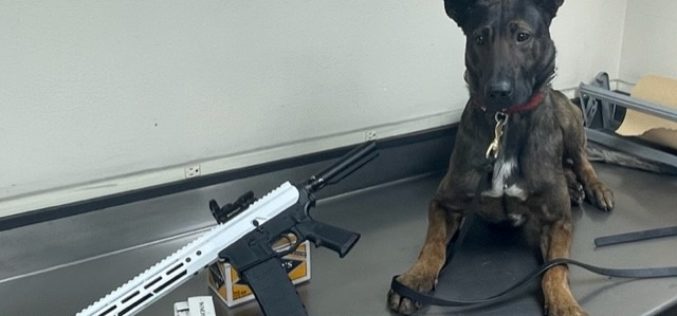 Gang Units locates AR-15 rifle and Narcotics during Search Warrant