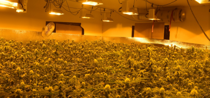 Calaveras County Sheriff’s Office Marijuana Team January 31st thru March 9th 2022