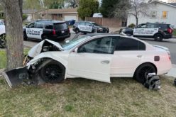 Car chase of two Folsom thieves ends in wreck with tree