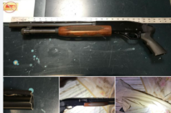 Man brandishes shotgun during argument