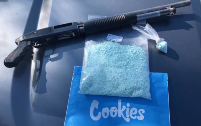 Ten arrested during Wasco warrant sweep