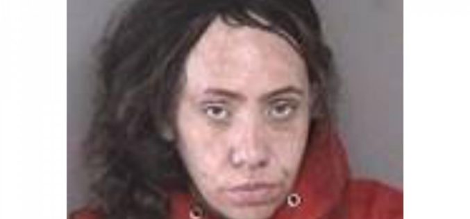Woman on Probation for Vehicle Theft is Arrested for Driving a Stolen Van to Court