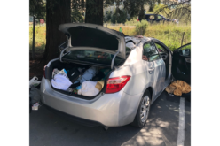 Sonoma County woman accused of domestic abuse, possession of stolen car