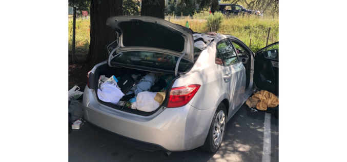 Sonoma County woman accused of domestic abuse, possession of stolen car