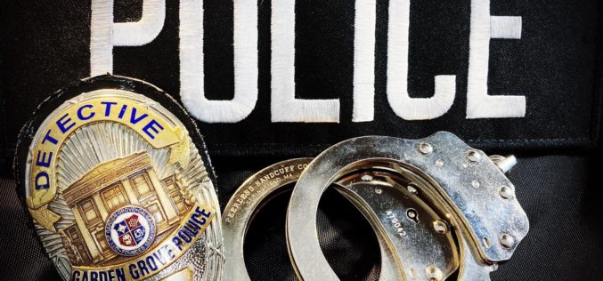 Cat burglar in custody after Garden Grove home break-in