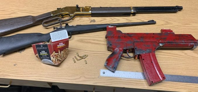 Man accused of brandishing, bringing guns onto Crescent City school campus