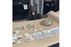 Team work prevails as Lt. Kai helps out on vehicle search