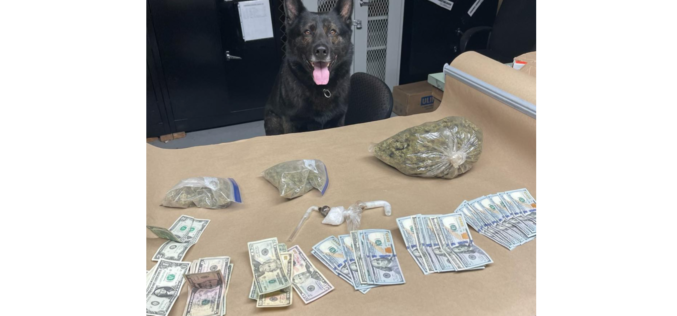 Team work prevails as Lt. Kai helps out on vehicle search