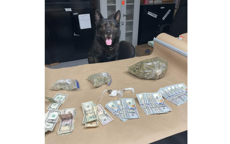 Team work prevails as Lt. Kai helps out on vehicle search