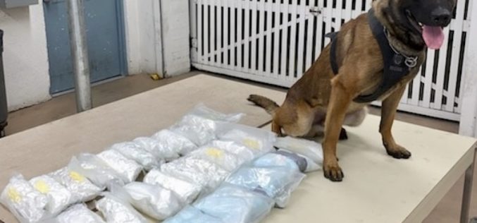 Mom drives with 33 pounds of meth…and three children