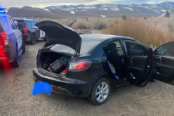 Woman runs into patrol vehicle to escape assault