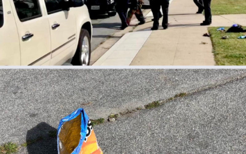 Attempted robbery arrest