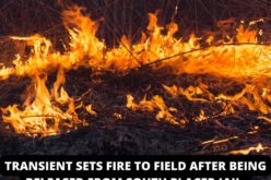 Transient released from jail, starts a fire outside