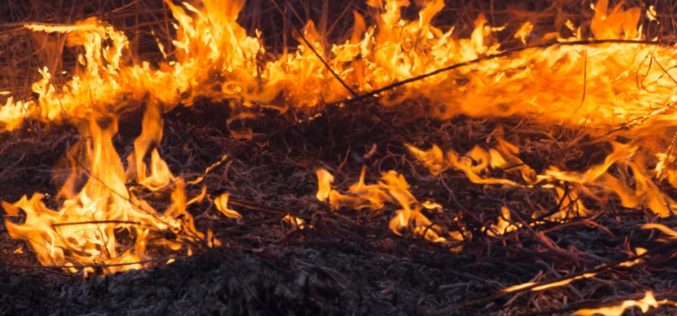 Transient released from jail, starts a fire outside