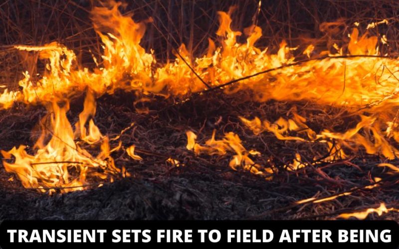 Transient released from jail, starts a fire outside