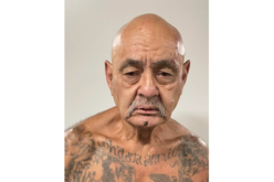 Police: Shasta County man tried to carjack woman while running from officers