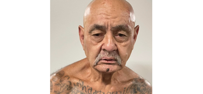 Police: Shasta County man tried to carjack woman while running from officers