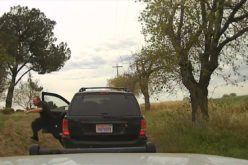 Burglar spotted, chased, arrested