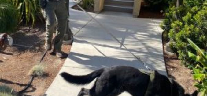 $1M Bail for Stabbing Suspect