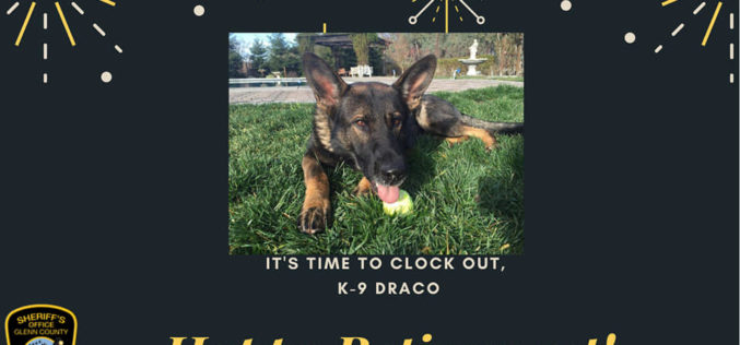 K-9 Draco enters retirement from the force