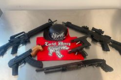 Gang member on the run in Monterey