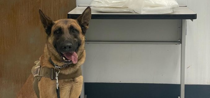 19 pounds of meth seized after traffic stop