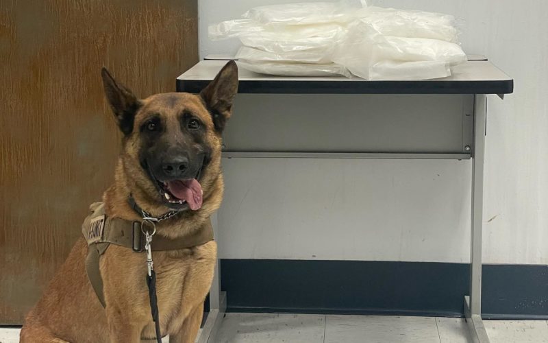 19 pounds of meth seized after traffic stop
