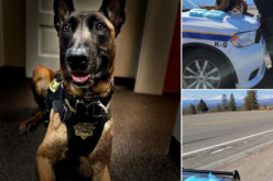 Recent arrests in Mt. Shasta