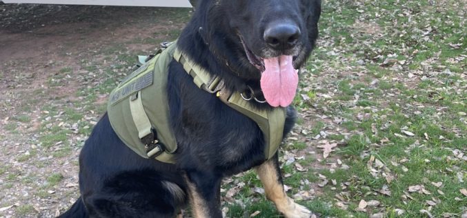 Pair arested for mail theft, paraphernalia