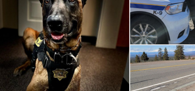 Recent arrests in Mt. Shasta